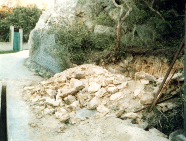 COP064.jpg