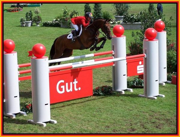 saut-oxer-beerbaum.jpg