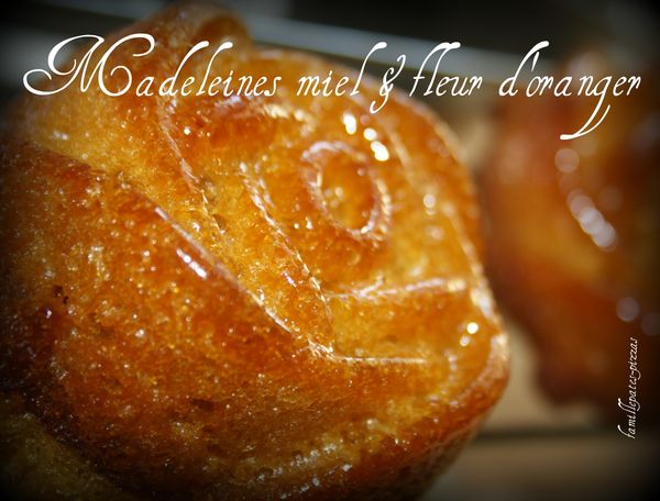 madeleines miel & fleur d'oranger 3