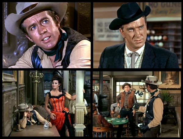 VIRGINIEN gulager