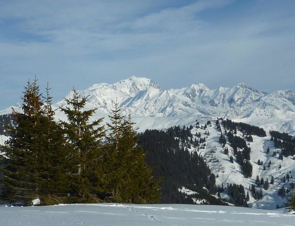 73 96 Mont Blanc 5