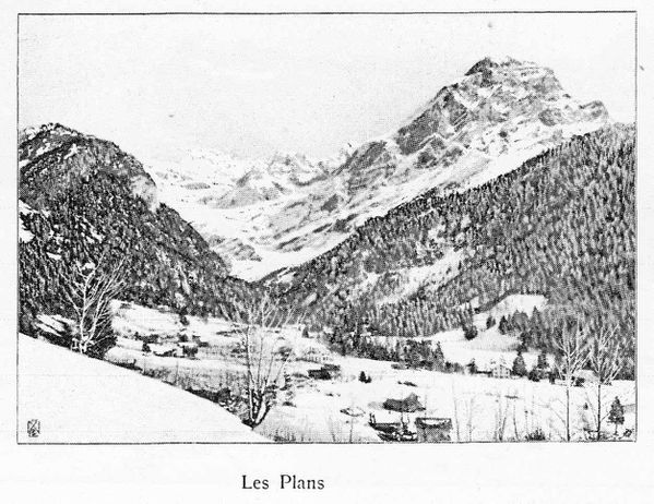 Les-Plans-sur-Bex.jpg
