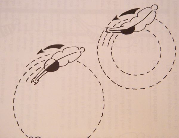 hanches-en-dehors-cercle.JPG