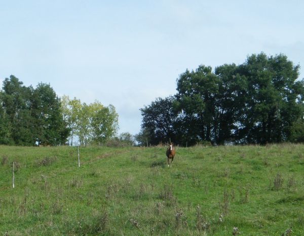 DSCF0403.JPG