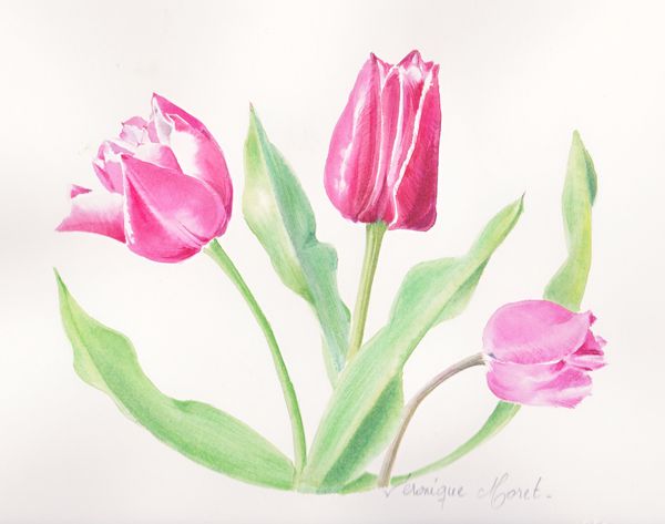 TULIPES-V-MORET.jpg