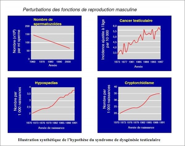 Exemples perturbations endocriniennes in nature paul keirn