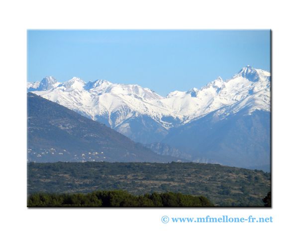 Dossier-4-0172-copied-copie-1.jpg
