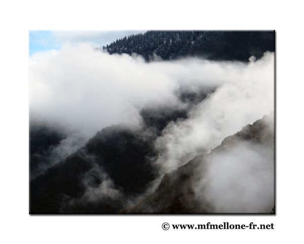 Dossier-4-0008-copied.jpg
