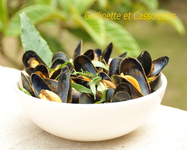 Moules_T.jpg