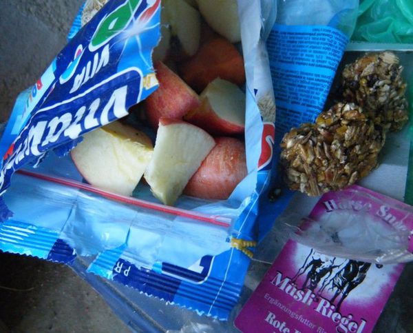 friandises-cheval.jpg