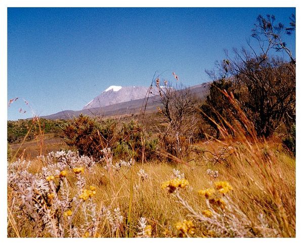 kilimandjaro 10