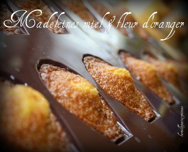 madeleines miel & fleur d'oranger