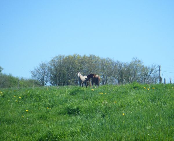 DSCF8974.JPG