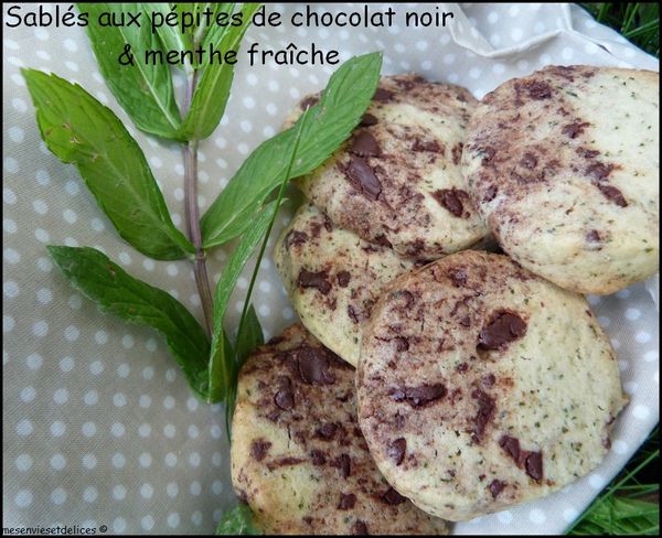 sables-menthe-chocolat-cookies.jpg