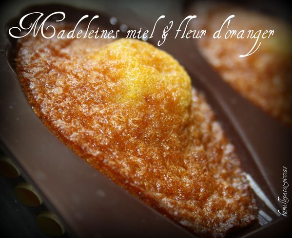 madeleines miel & fleur d'oranger 4