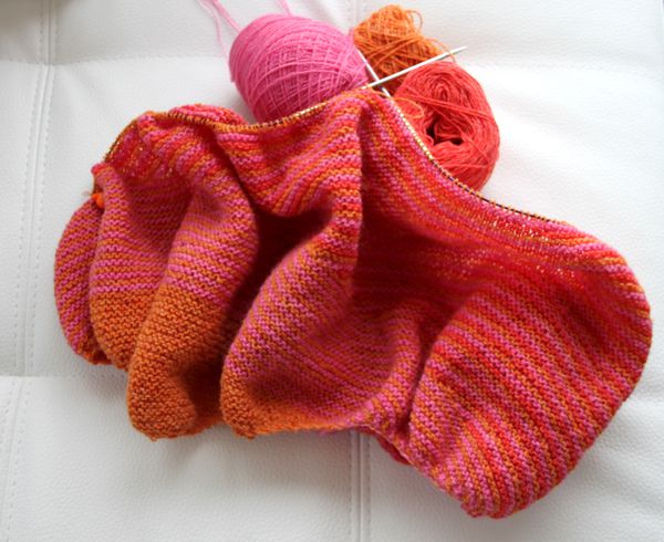 Tricot-bis-3844.JPG