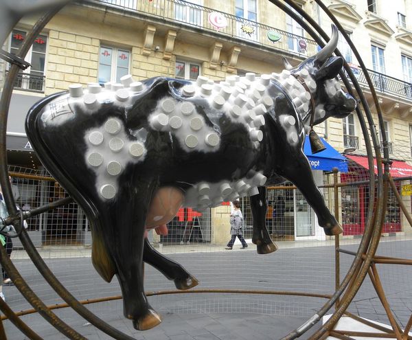 cow16