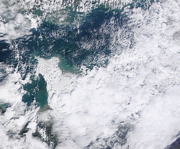 Terra - MODIS - Neige en France - Bretagne - Cotentin - Ré