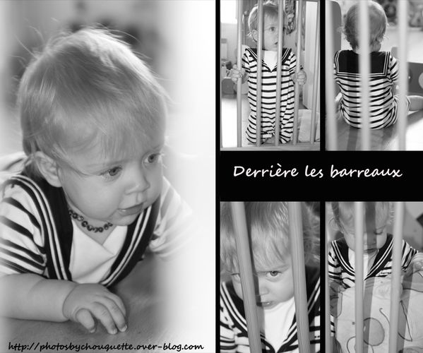 barreaux.jpg