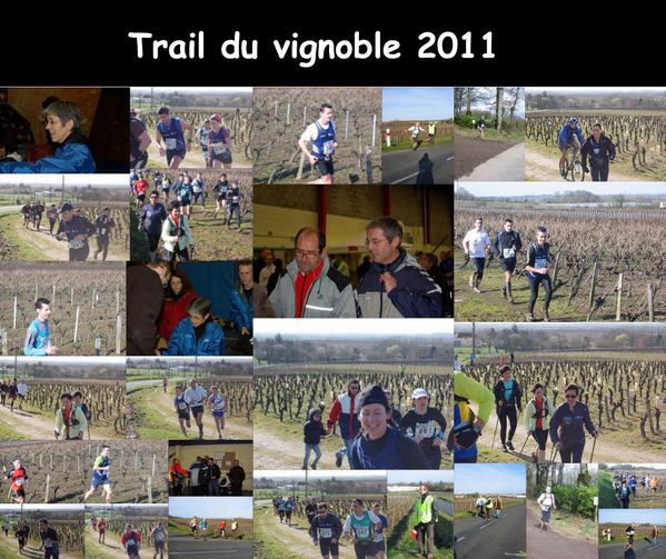 montage-picassa-tdv-2011.JPG