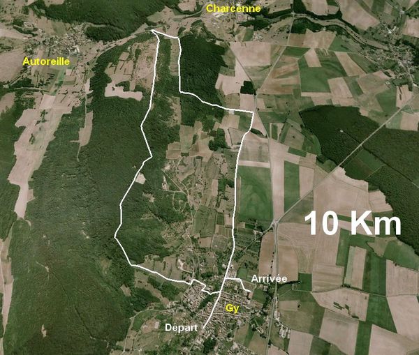 Trail des Monts de Gy 10 Km google-copie-1