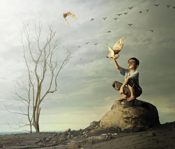 enfant - pigeon
