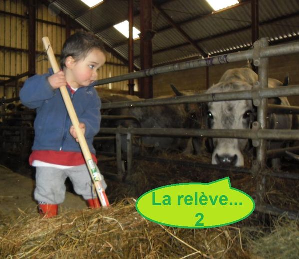 2Timeo au pansage - réduite