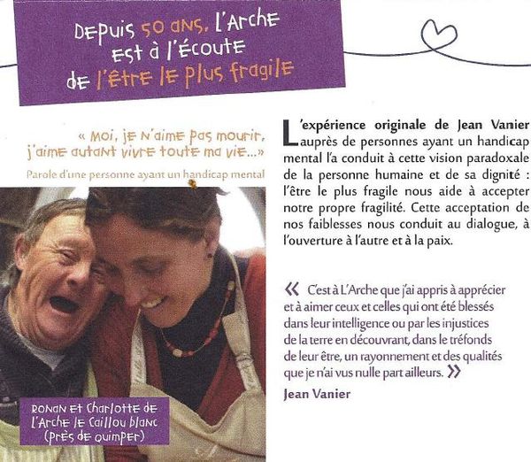 Arche50 1