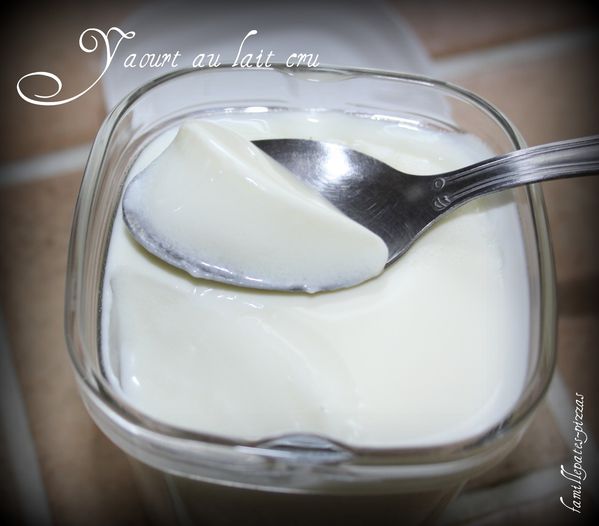 yaourt au lait cru 2