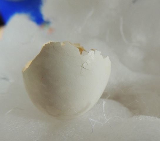 A 001