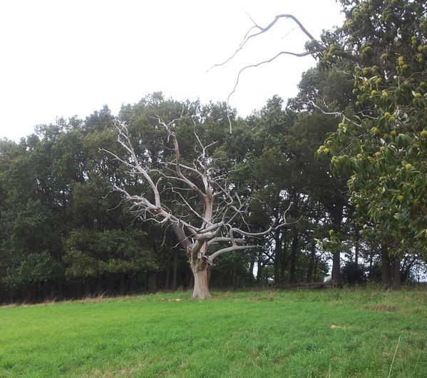20121003_5703.jpg