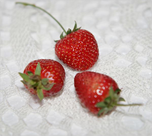 roulé de fraise et mascarpone3