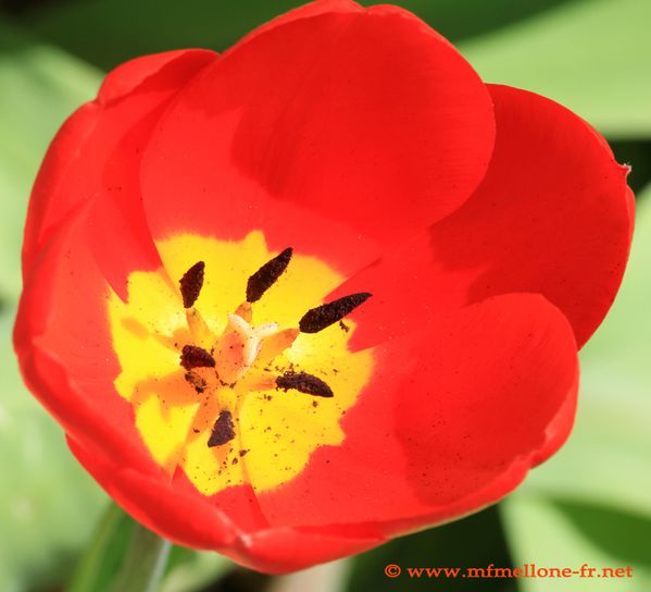 images-4482-copiedsite.jpg