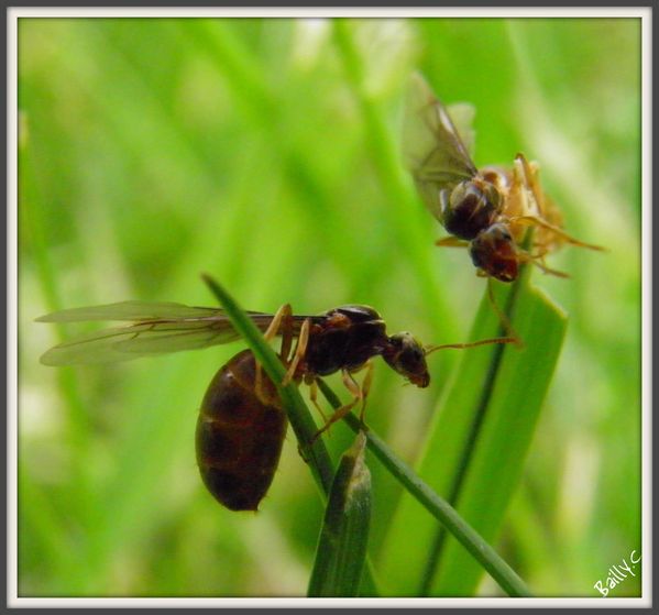 P7270089 picnik
