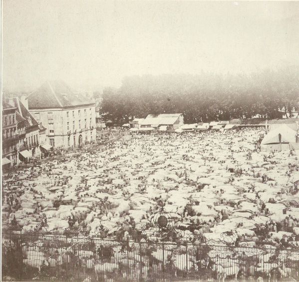 Foire d'Autun - 1 sept 1866.