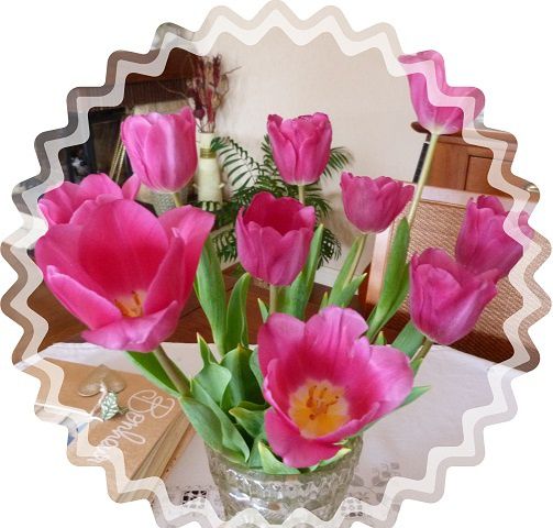 tulipes.jpg