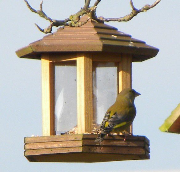 DSCN2550.JPG 1 2