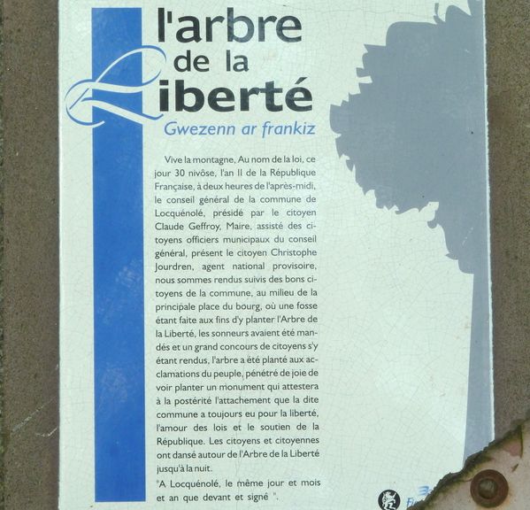 P1160643.jpg