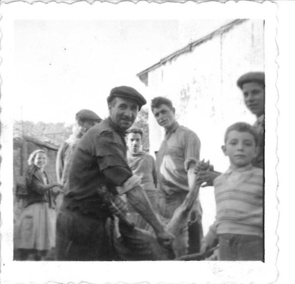 Os Mindambas lusitanos.