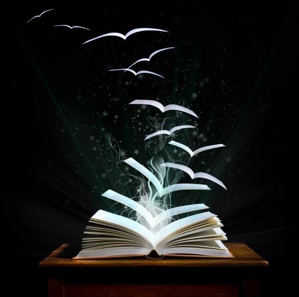 envol_livre.jpg