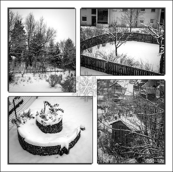 hiver_au_printemps.jpg