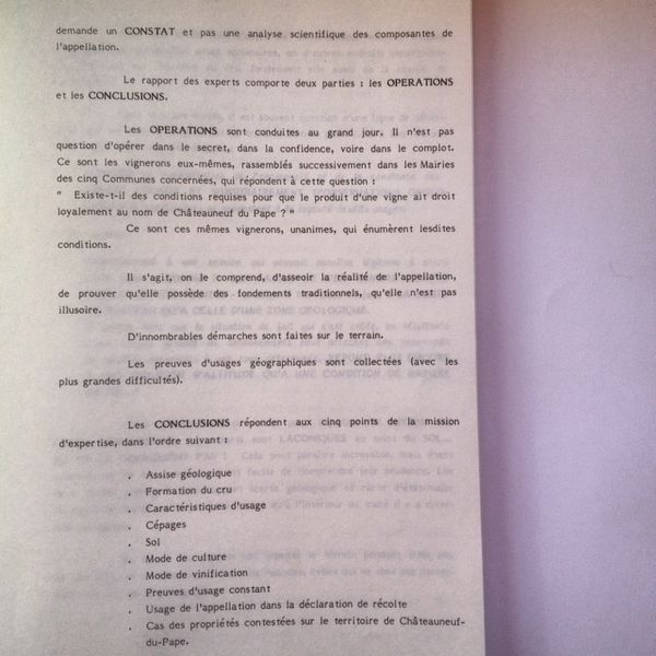 photoChato9-2b.JPG