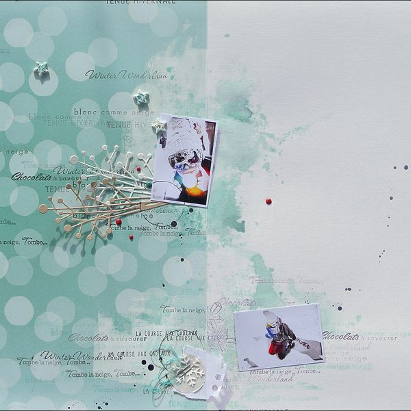 FimoS-Janv-2015-centre-page.jpg