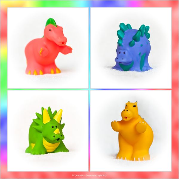 animaux_sdb_02.jpg
