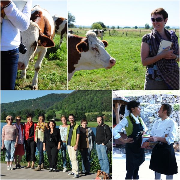 Cantal.jpg