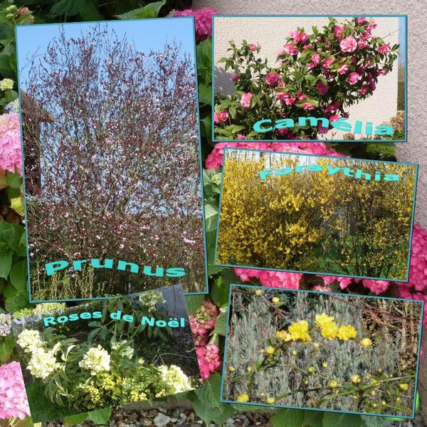 au-jardin.jpg