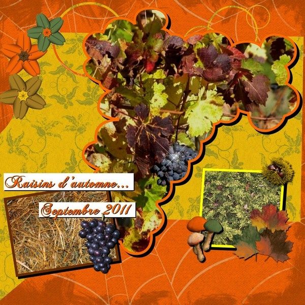 raisins-d-automne.jpg