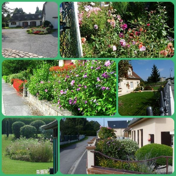fleurs2013-copie-1.jpg