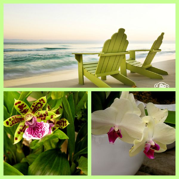 PicMonkey-Collage-copie-3.jpg