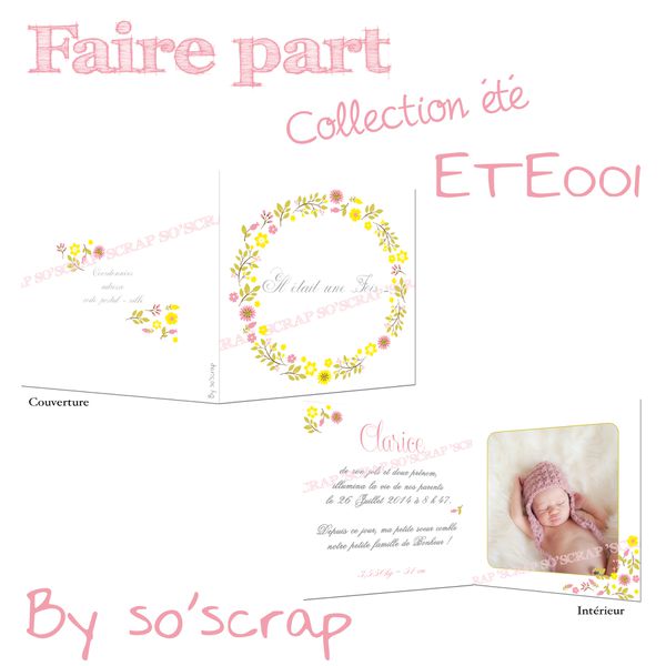 ETE001